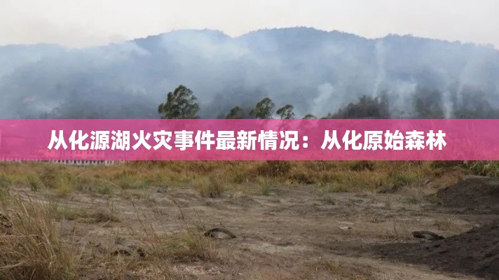 从化源湖火灾事件最新情况：从化原始森林 