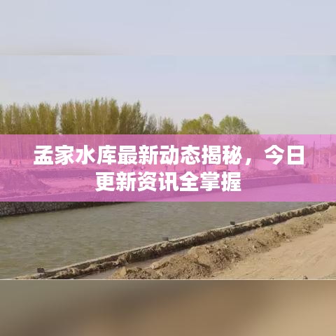 孟家水库最新动态揭秘，今日更新资讯全掌握