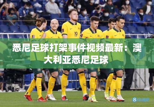 悉尼足球打架事件视频最新：澳大利亚悉尼足球 