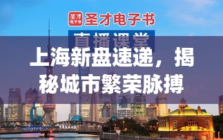 上海新盘速递，揭秘城市繁荣脉搏的最新楼盘
