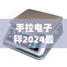 手拉电子秤2024最新款：手提式电子秤价格 