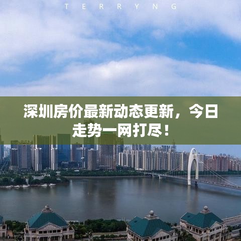 深圳房价最新动态更新，今日走势一网打尽！