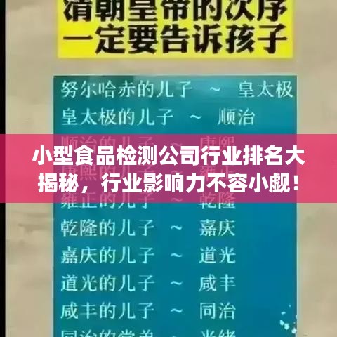 小型食品检测公司行业排名大揭秘，行业影响力不容小觑！