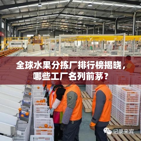 全球水果分拣厂排行榜揭晓，哪些工厂名列前茅？