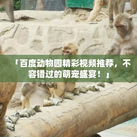 「百度动物园精彩视频推荐，不容错过的萌宠盛宴！」