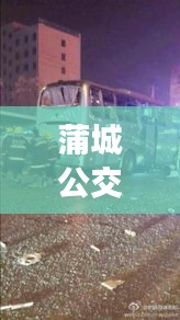 蒲城公交车爆炸事件最新消息，震惊全城！