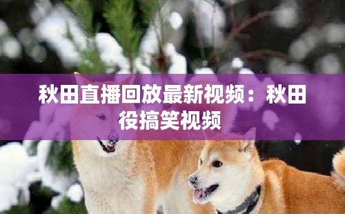 秋田直播回放最新视频：秋田役搞笑视频 