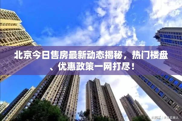 北京今日售房最新动态揭秘，热门楼盘、优惠政策一网打尽！