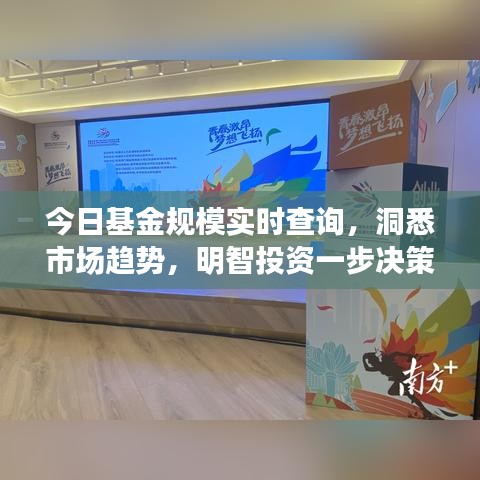 今日基金规模实时查询，洞悉市场趋势，明智投资一步决策