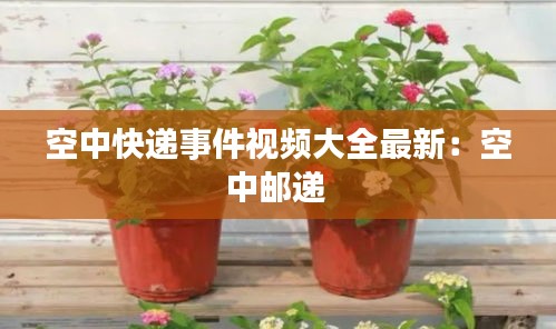 空中快递事件视频大全最新：空中邮递 