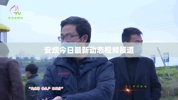 安坝今日最新动态视频报道