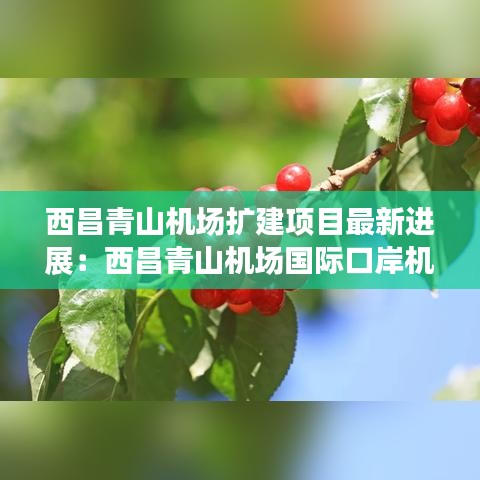 西昌青山机场扩建项目最新进展：西昌青山机场国际口岸机场建设 