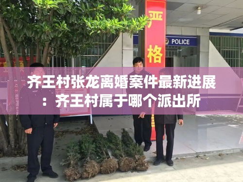 齐王村张龙离婚案件最新进展：齐王村属于哪个派出所 