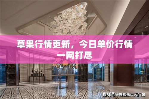 草果行情更新，今日单价行情一网打尽