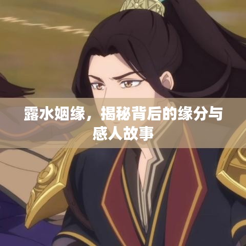 露水姻缘，揭秘背后的缘分与感人故事
