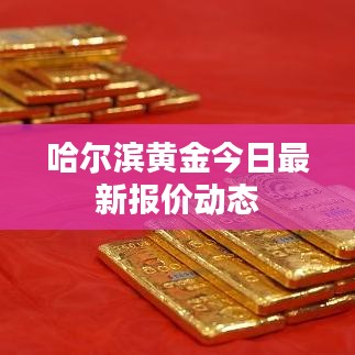 哈尔滨黄金今日最新报价动态