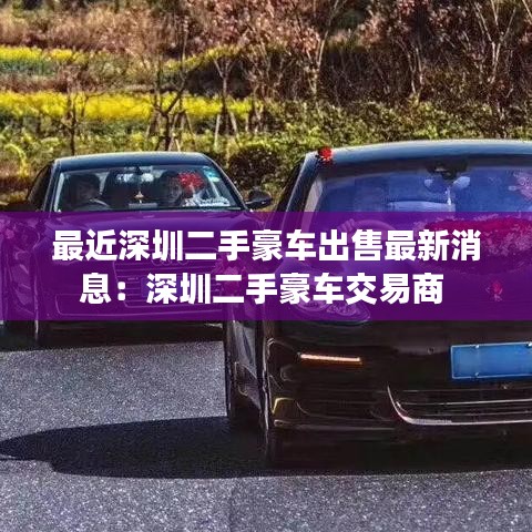 最近深圳二手豪车出售最新消息：深圳二手豪车交易商 