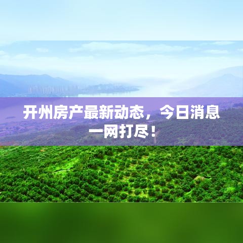 开州房产最新动态，今日消息一网打尽！