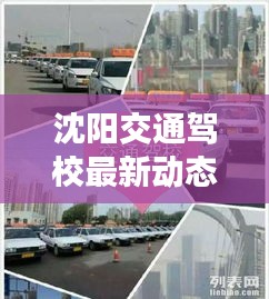 沈阳交通驾校最新动态与朱霞的足迹探索