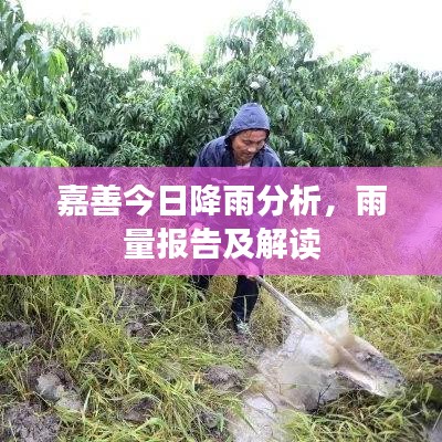 嘉善今日降雨分析，雨量报告及解读