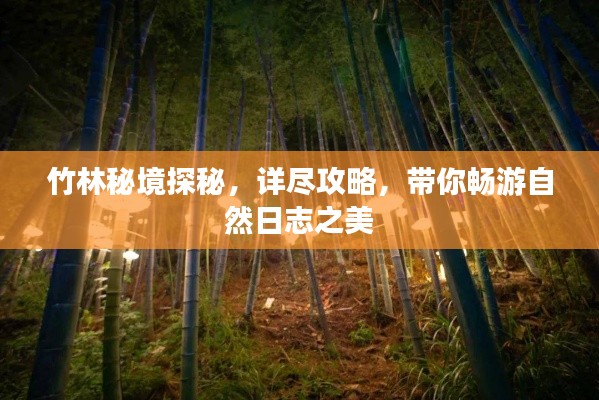 竹林秘境探秘，详尽攻略，带你畅游自然日志之美