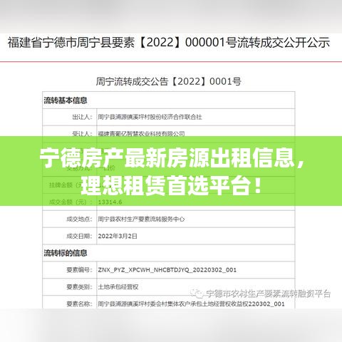 龙飞凤舞 第2页