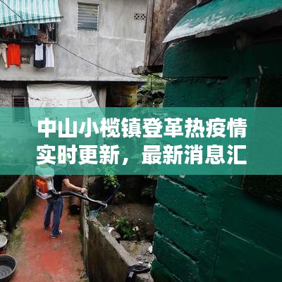 中山小榄镇登革热疫情实时更新，最新消息汇总