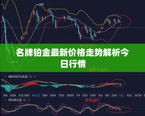 名牌铂金最新价格走势解析今日行情