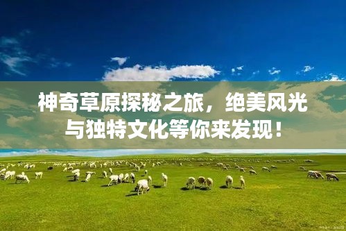 神奇草原探秘之旅，绝美风光与独特文化等你来发现！