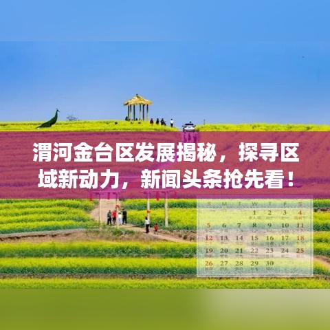 渭河金台区发展揭秘，探寻区域新动力，新闻头条抢先看！