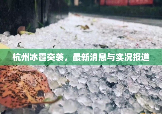 杭州冰雹突袭，最新消息与实况报道