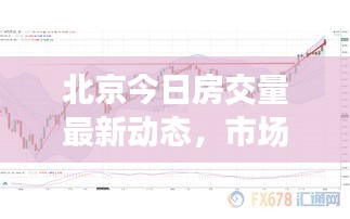 北京今日房交量最新动态，市场走势深度分析与预测
