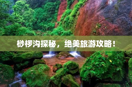 桫椤沟探秘，绝美旅游攻略！