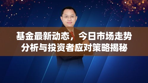 基金最新动态，今日市场走势分析与投资者应对策略揭秘