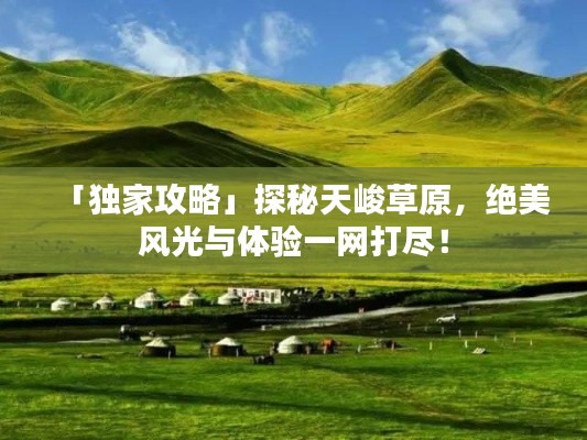 「独家攻略」探秘天峻草原，绝美风光与体验一网打尽！