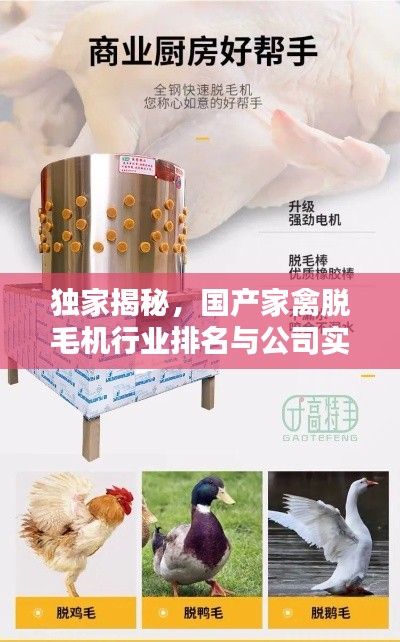 独家揭秘，国产家禽脱毛机行业排名与公司实力解析！