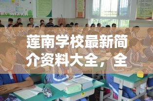 莲南学校最新简介资料大全，全面了解学校信息！