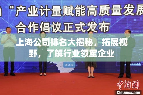 上海公司排名大揭秘，拓展视野，了解行业领军企业