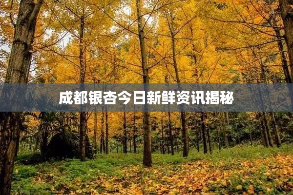 成都银杏今日新鲜资讯揭秘