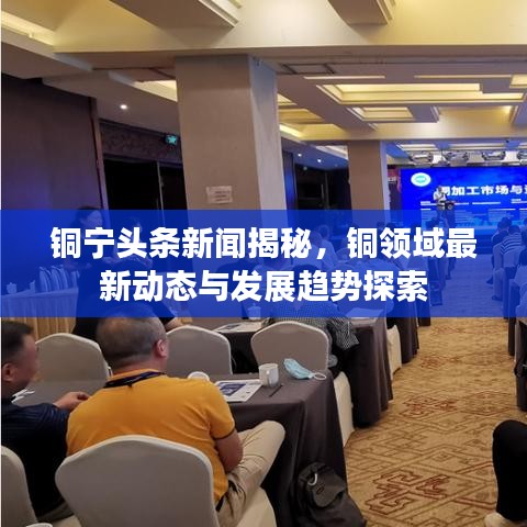 铜宁头条新闻揭秘，铜领域最新动态与发展趋势探索