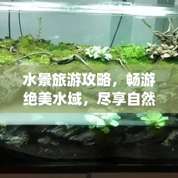 水景旅游攻略，畅游绝美水域，尽享自然盛宴，不容错过的水上风光之旅！