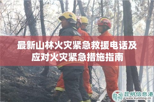 最新山林火灾紧急救援电话及应对火灾紧急措施指南