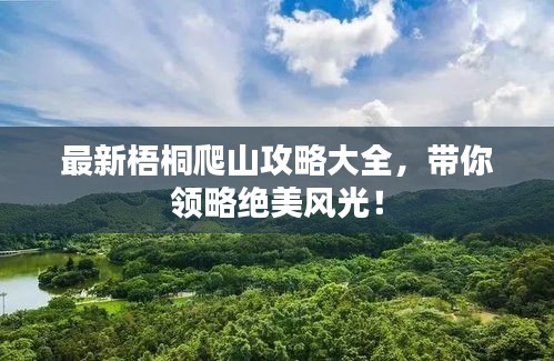 最新梧桐爬山攻略大全，带你领略绝美风光！