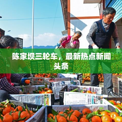 一言九鼎 第2页