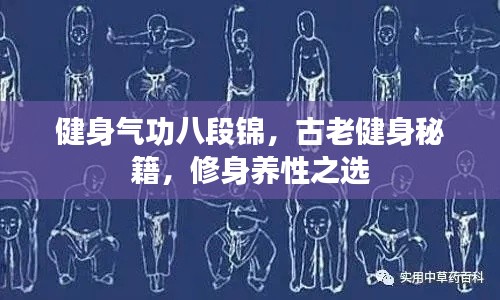 健身气功八段锦，古老健身秘籍，修身养性之选