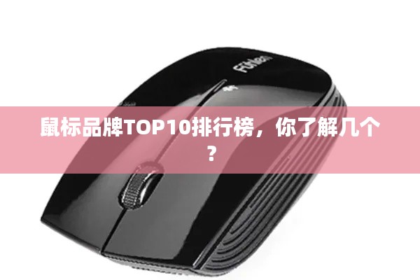 鼠标品牌TOP10排行榜，你了解几个？