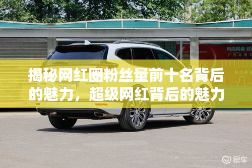 揭秘网红圈粉丝量前十名背后的魅力，超级网红背后的魅力来源探究