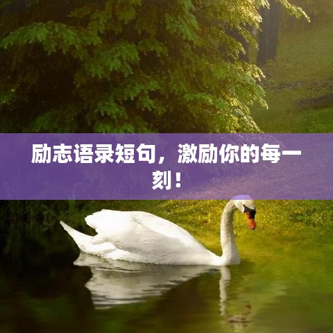 堂堂正正 第2页