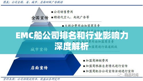 EMC船公司排名和行业影响力深度解析