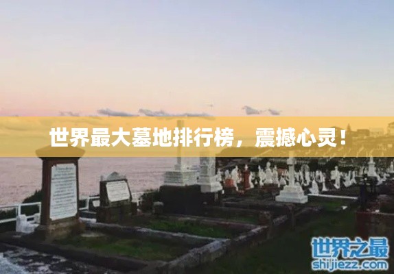就事论事 第3页